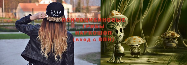 гашик Богданович