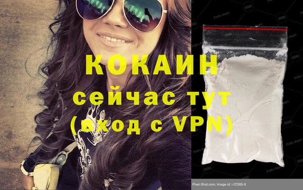 гашик Богданович