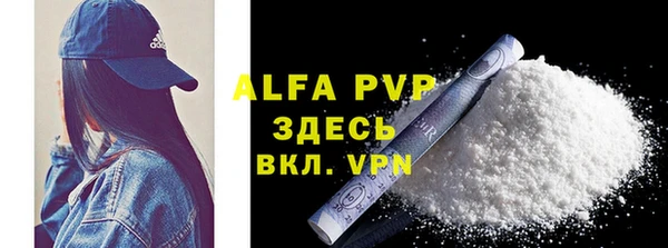 гашик Богданович