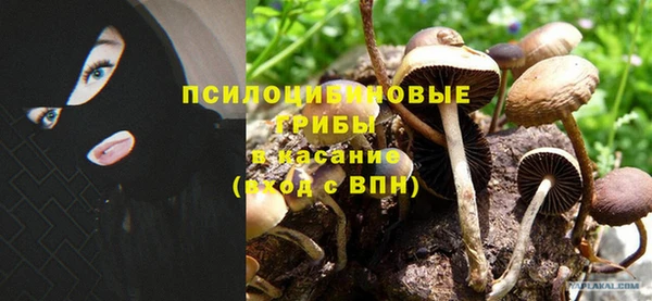 прущий лед Богородск