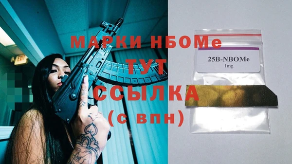 гашик Богданович