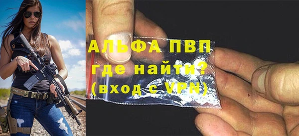 гашик Богданович