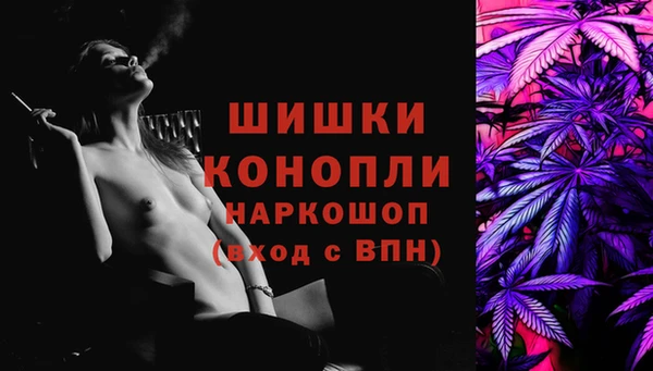 гашик Богданович