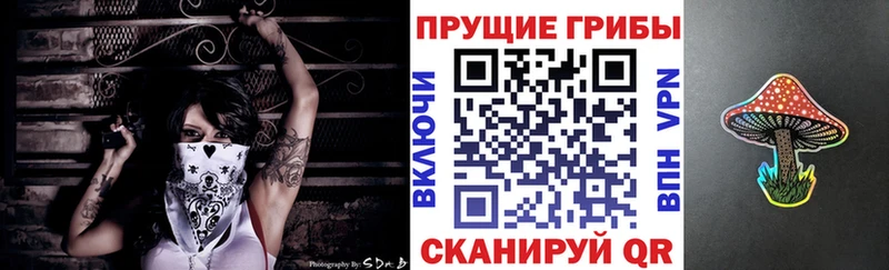Галлюциногенные грибы мухоморы  Венёв 